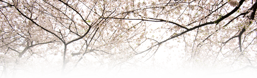 140414-8097-BlossomFX.png