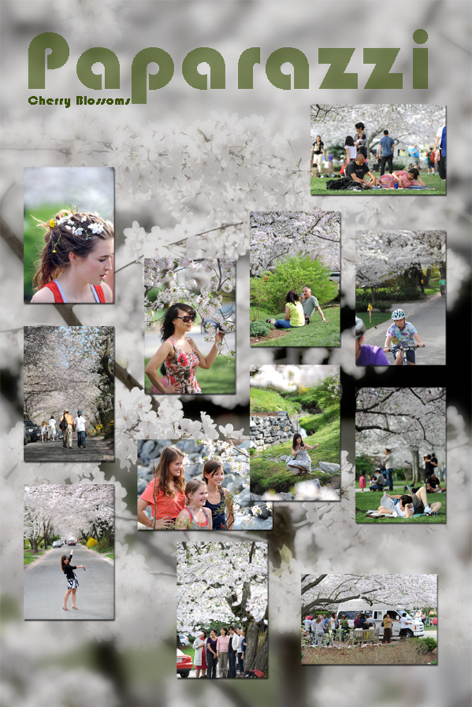0-10040410-037-CherryBlos.png